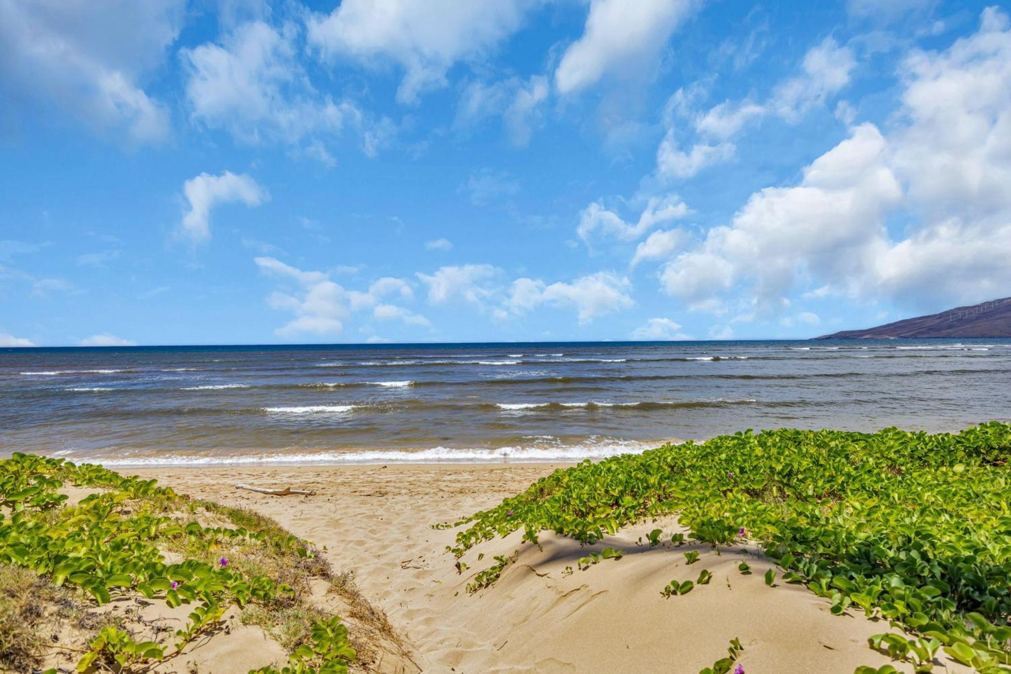 Hale Kai O'Kihei 118ヴィラ エクステリア 写真